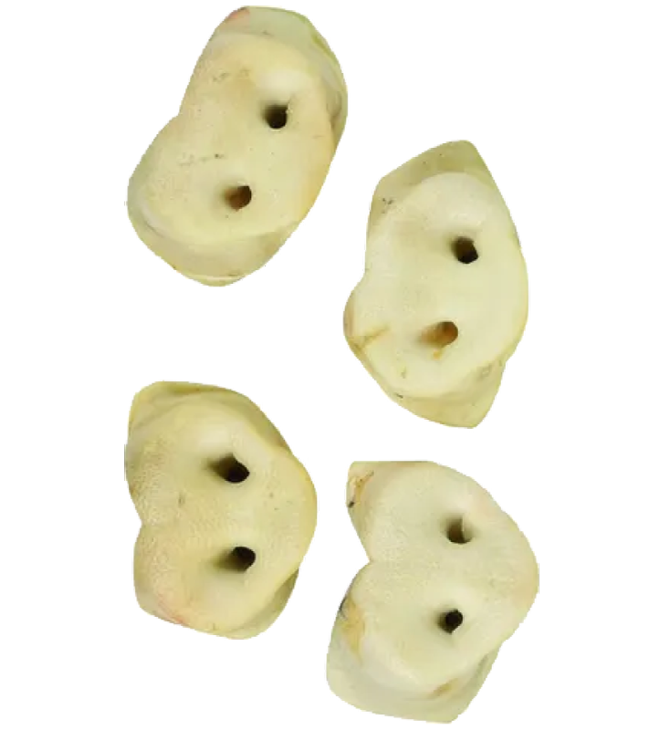 Flamingo - Nature Snack - Musetto di Maiale - 4 pezzi