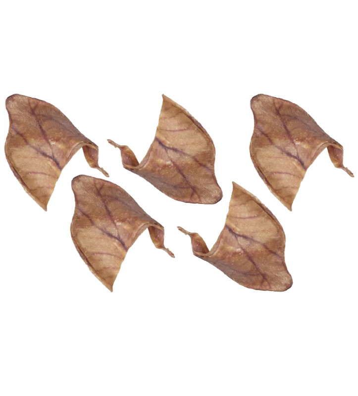 Flamingo - Nature Snack - Orecchio di Maiale - 5 pezzi