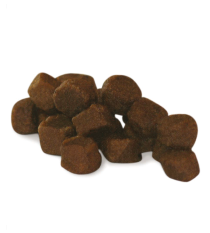 Gheda - Dog&Dog - Wild - All Breeds - Puppy Natural Instinct - 12kg