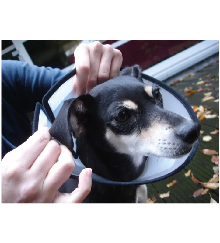 Flamingo - Collare Elisabetta con Velcro - S