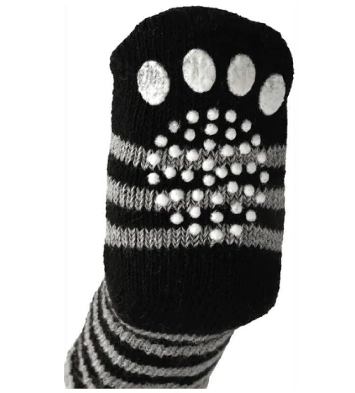 Flamingo - Calze per Cani