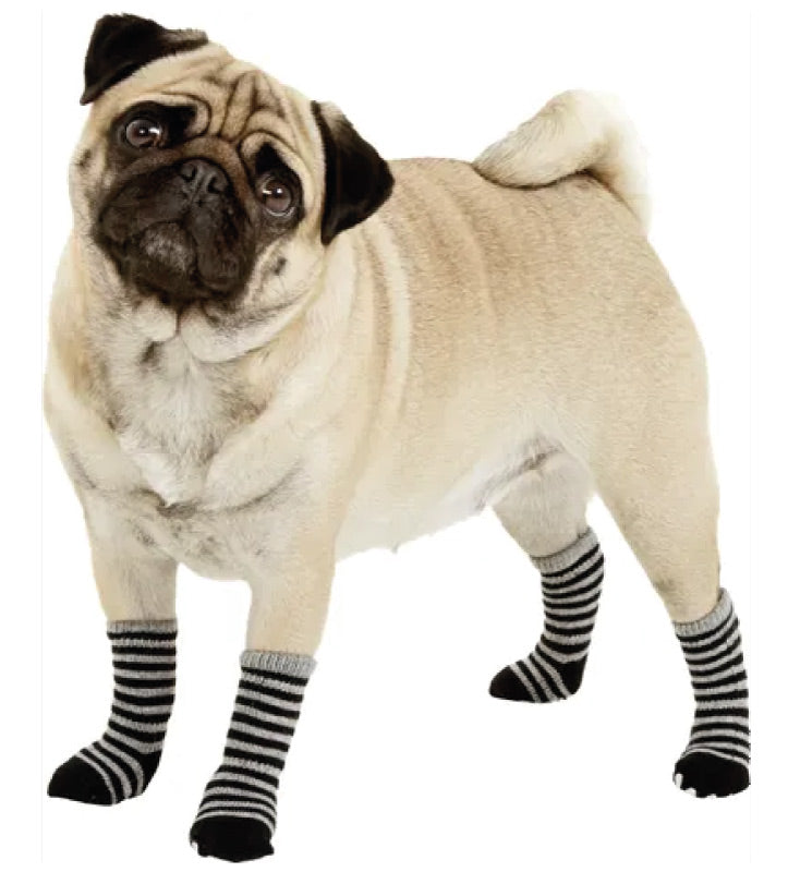 Flamingo - Calze per Cani