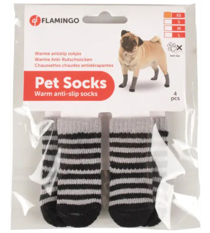 Flamingo - Calze per Cani