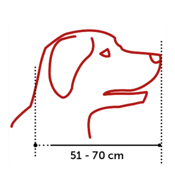 Flamingo - Museruola in Plastica - XXL