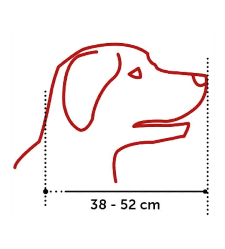 Flamingo - Museruola in Plastica - L