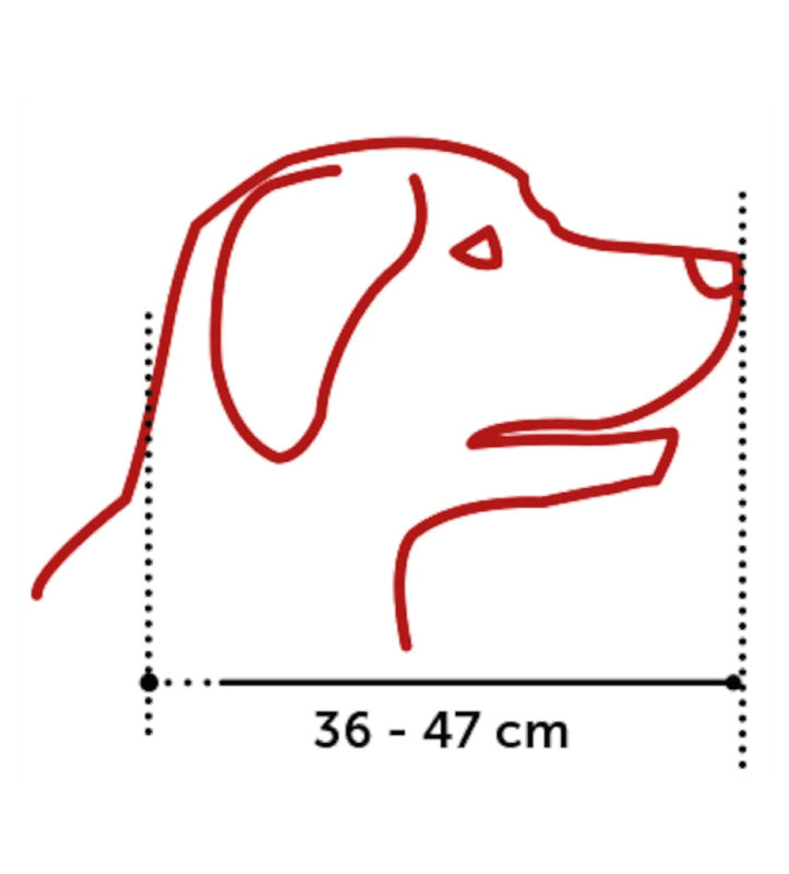 Flamingo - Museruola in Plastica - M