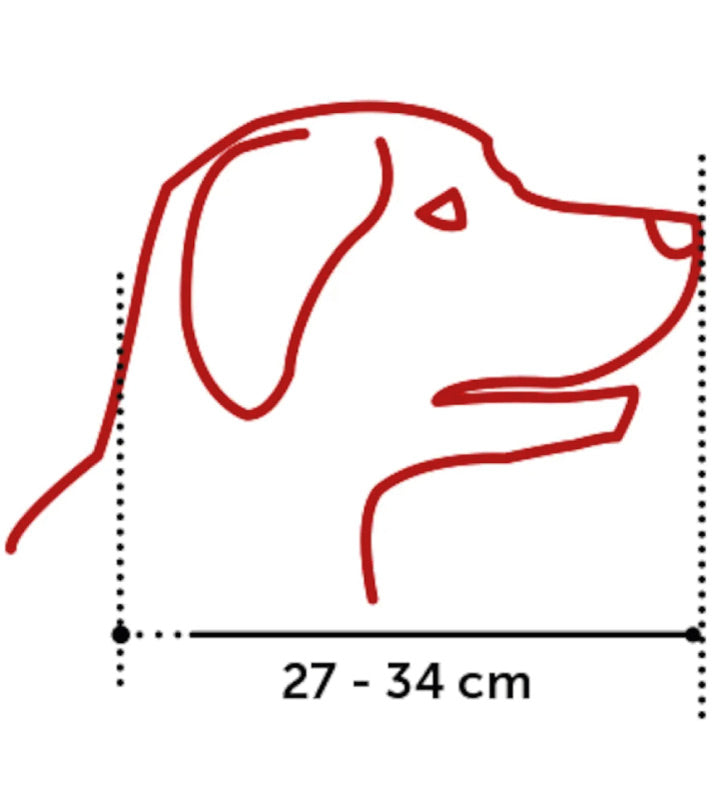 Flamingo - Museruola in Plastica - XXS