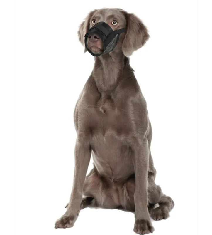 Flamingo - Museruola in Poliestere - Inserti in Rete - XL