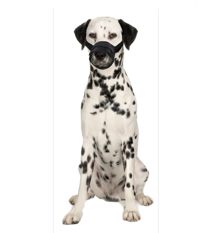 Flamingo - Museruola in Poliestere - Inserti in Rete - M