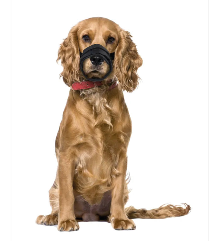 Flamingo - Museruola in Poliestere - Inserti in Rete - S