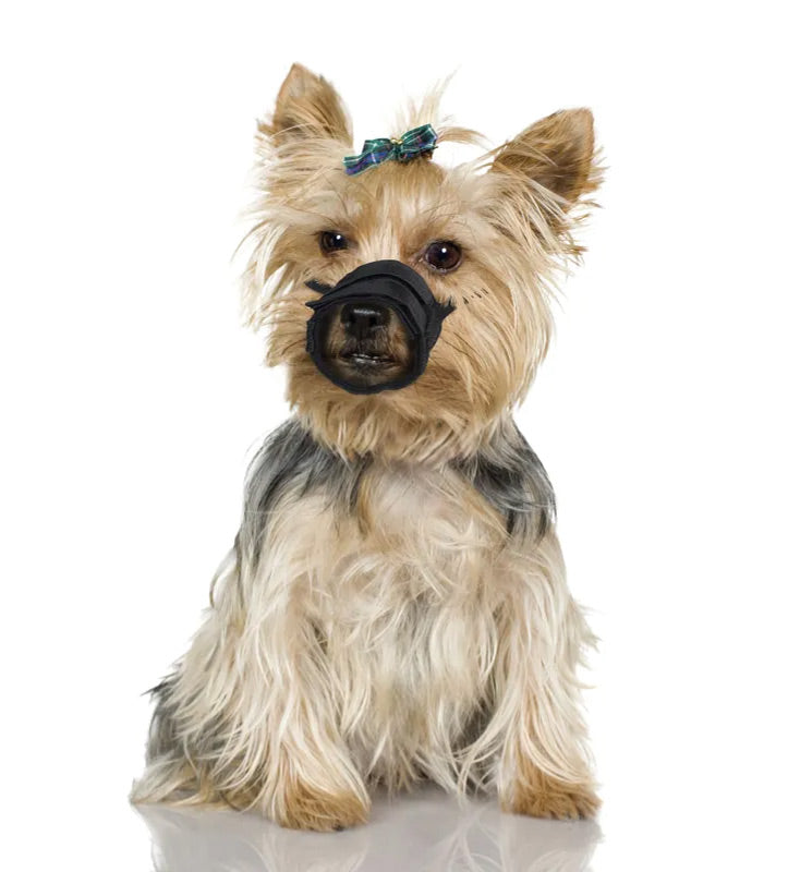 Flamingo - Museruola in Poliestere - Inserti in Rete - XXS