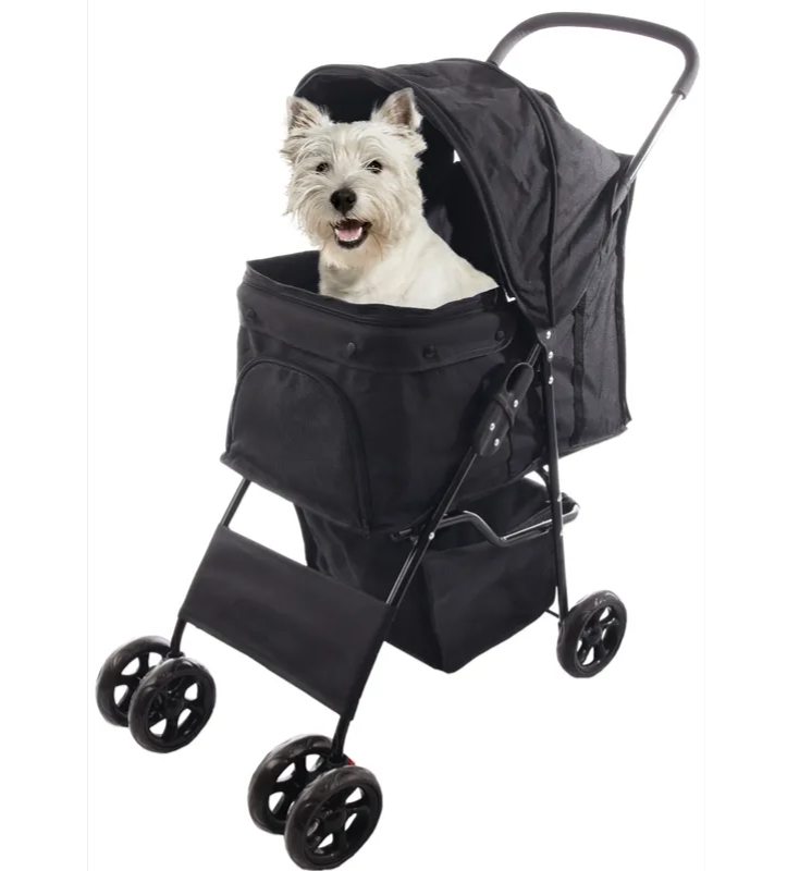 Flamingo - Passeggino Anda