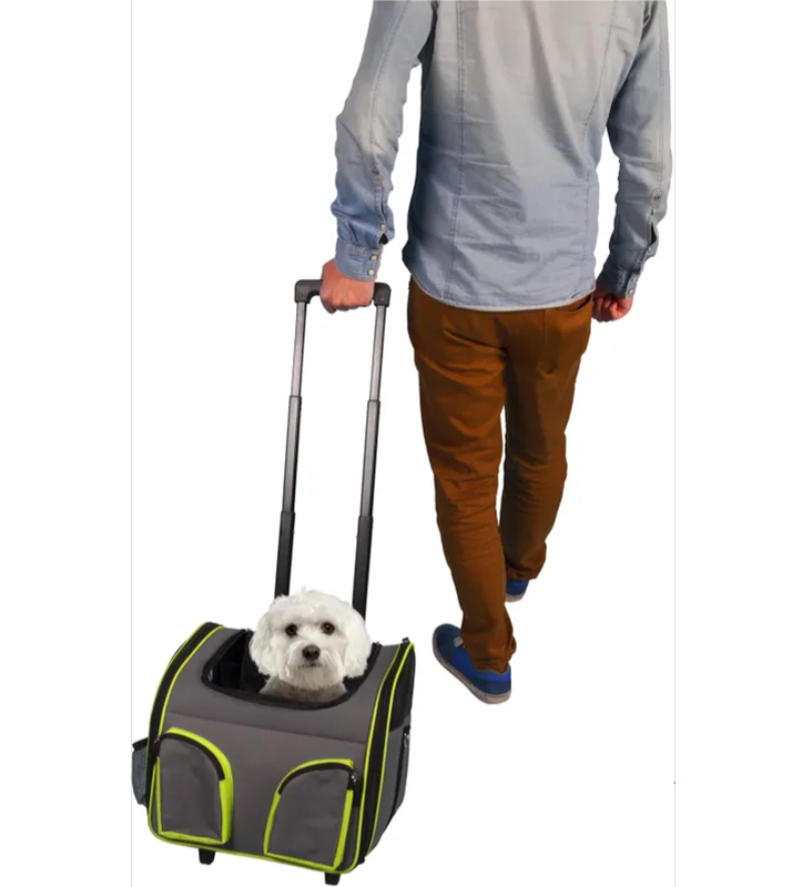 Flamingo - Trolley Maggy