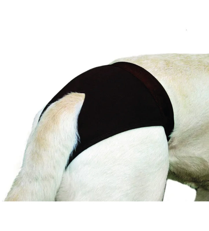 Flamingo - Assorbenti per Mutandina Igienica - 24pz