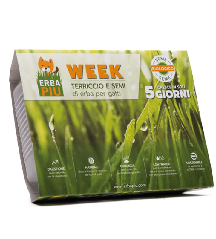 Erba Più - Kit di Semina di Erba per Gatti
