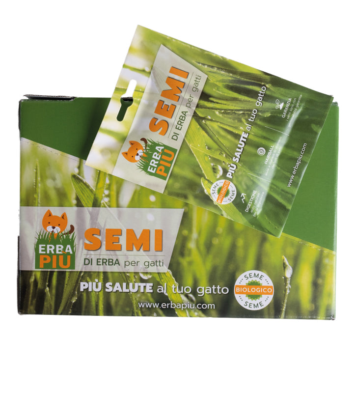 Erba Più - Semi di Erba per Gatti - 40gr
