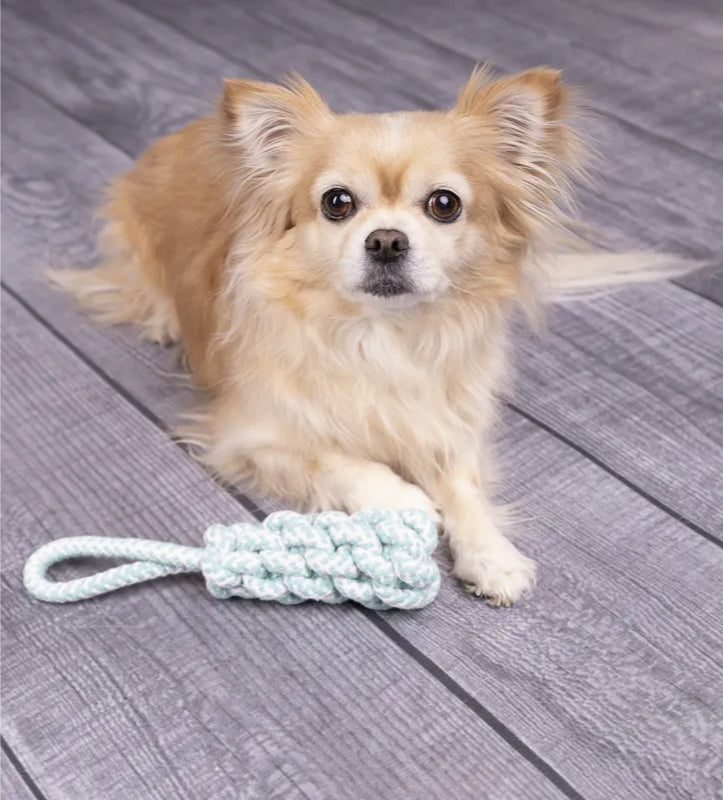 Flamingo - Corda da Tirare - 24cm