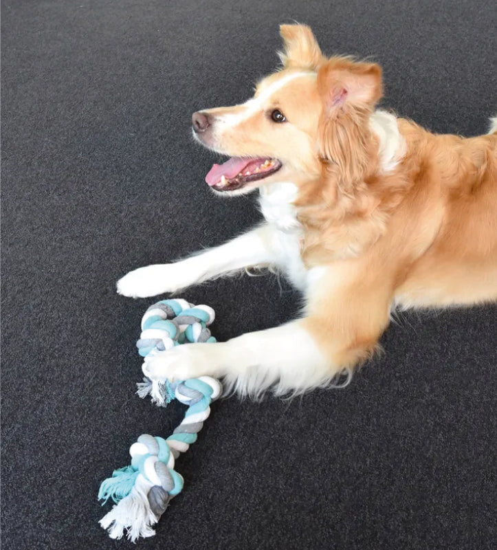 Flamingo - Corda Gioco - 60cm