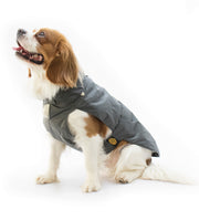 Fashion Dog - Cappotto Impermeabile - con Imbottitura Staccabile - Grigio - ULTIME TAGLIE