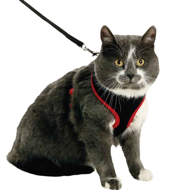 Flamingo - Pettorina Morbida - per Gattino