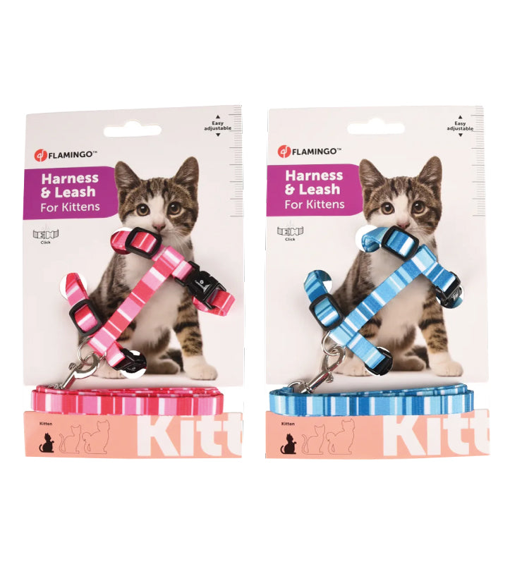 Flamingo - Pettorina Alfry - per Gattino