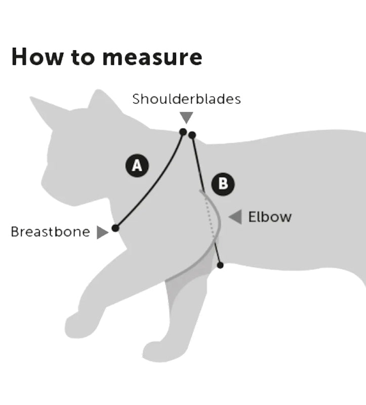 Flamingo - Pettorina Alfry - per Gattino