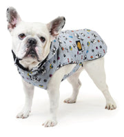 Fashion Dog - Piumino - Per Carlino/Bulldog