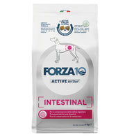 Forza 10 - Active Vet Diet Dog - Intestinal - 4kg