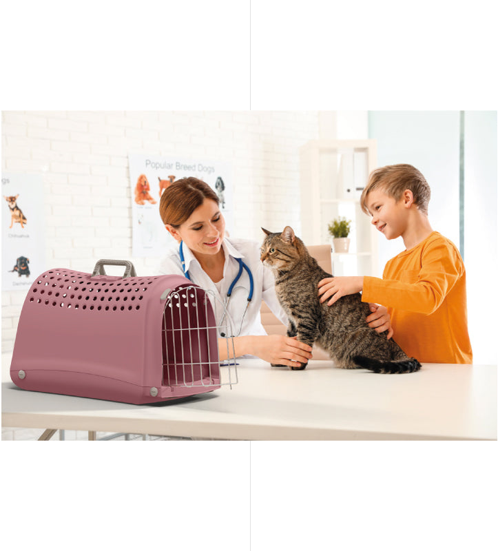 Imac - Trasportino Linus