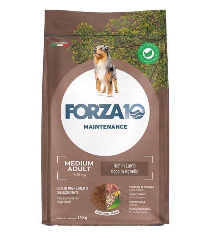Forza 10 - Maintenance - Medium - Adult - Agnello - 12kg