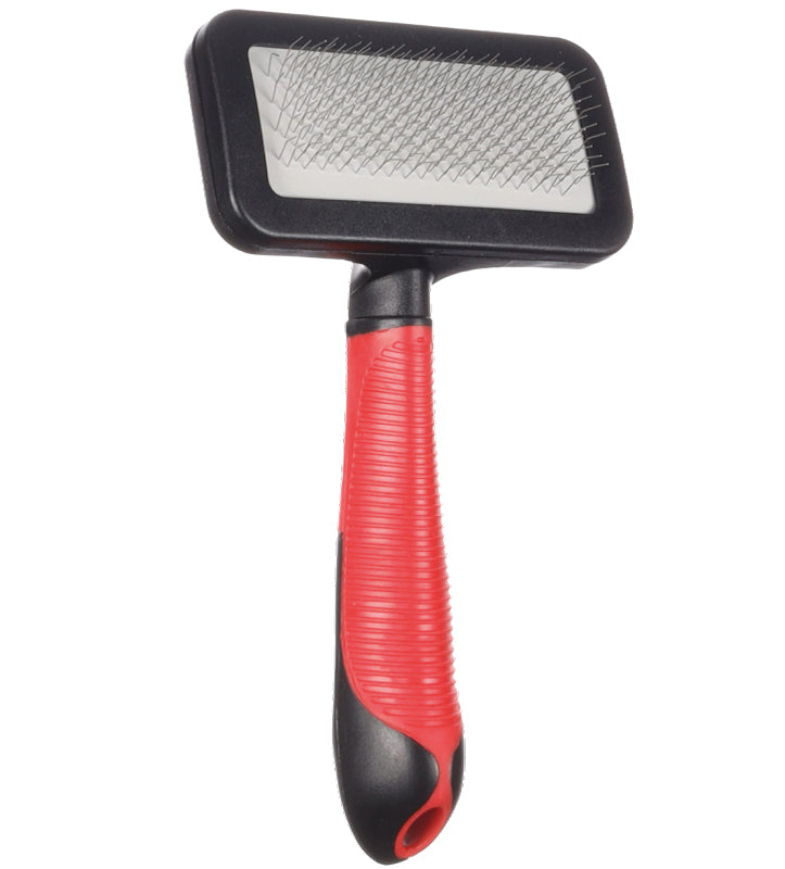 Flamingo - Cardatore - M