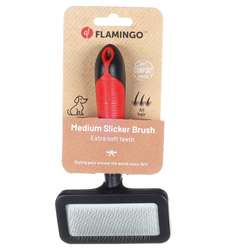 Flamingo - Cardatore - M