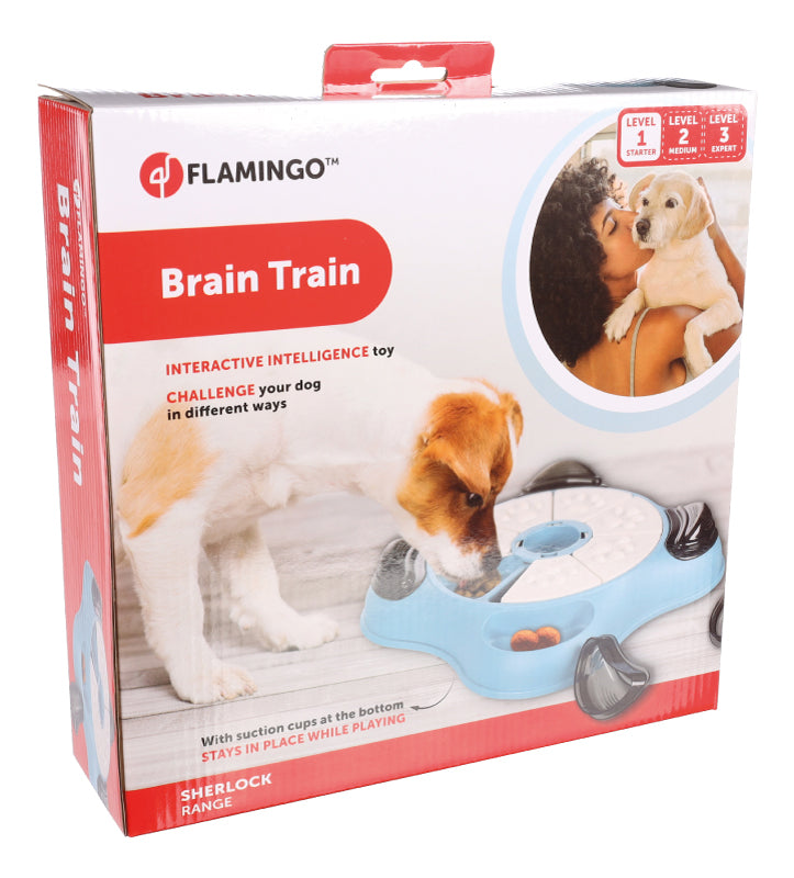 Flamingo - Brain Train Sherlock - Cliff