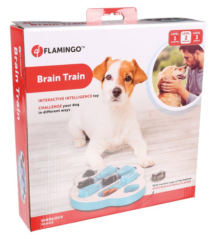 Flamingo - Brain Train Sherlock - Clyde