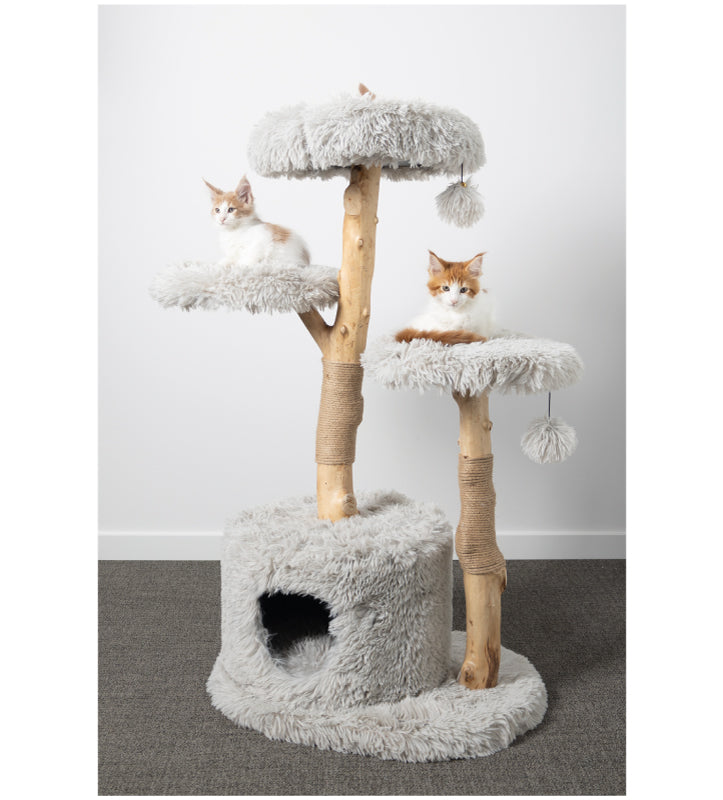 Flamingo - Tiragraffi - Hina