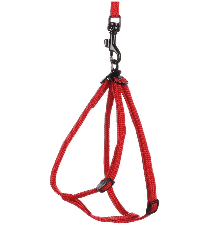 Flamingo - Pettorina con Guinzaglio - per Furetti