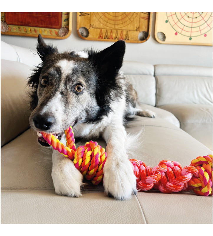 Kong - Bunji - Corda - L