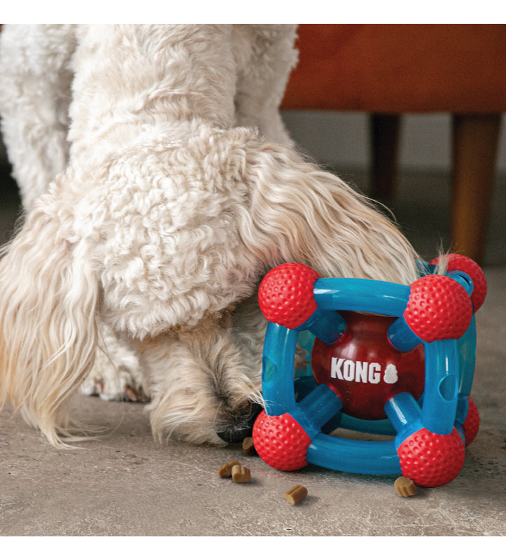 Kong - Rewards Tinker - M/L