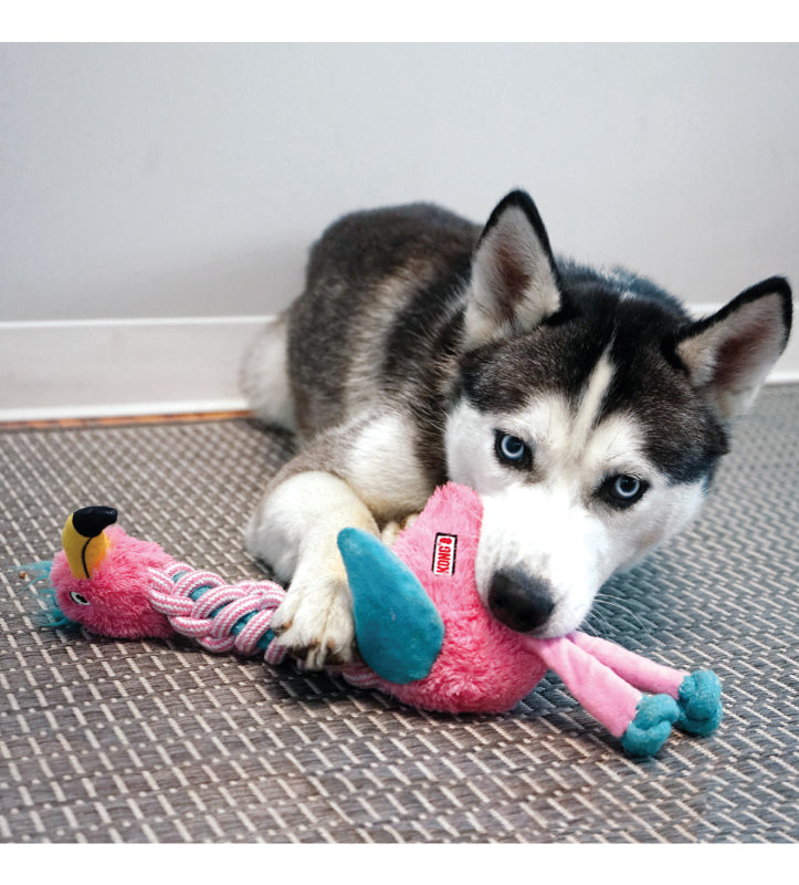 Kong - Knots - Twists - S/M