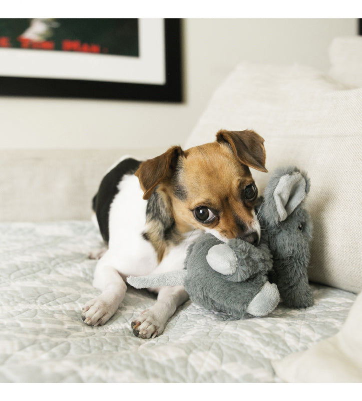 Kong - Kiddos - Elefante - XS