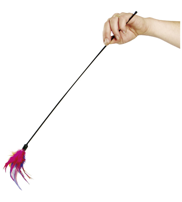 Flamingo - Canna da Pesca con Piume