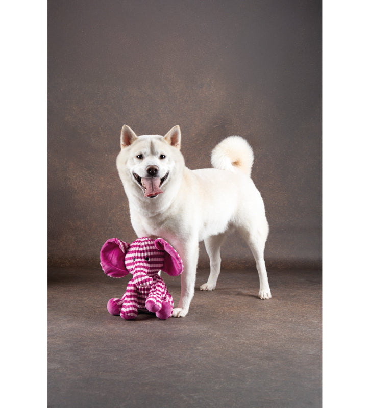 Flamingo - Peluche - Elefante Azor - 28cm