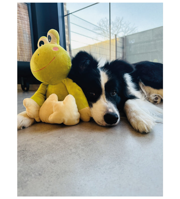 Flamingo - Peluche - Rana Kermi - 45cm