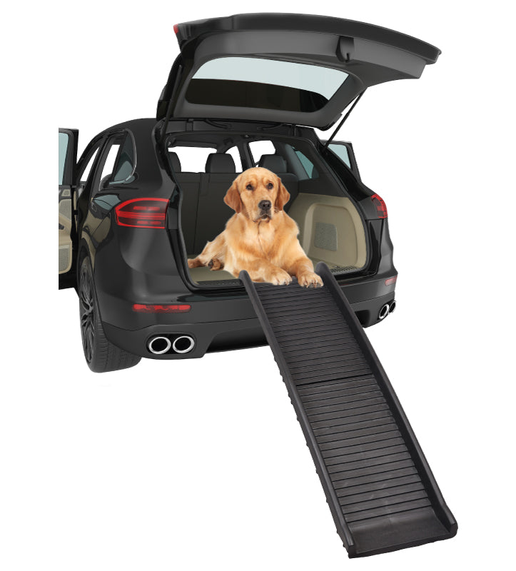 Flamingo - Rampa Pieghevole Antiscivolo