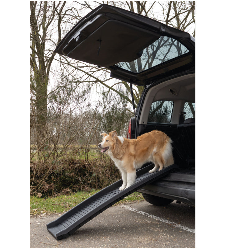 Flamingo - Rampa Pieghevole Antiscivolo