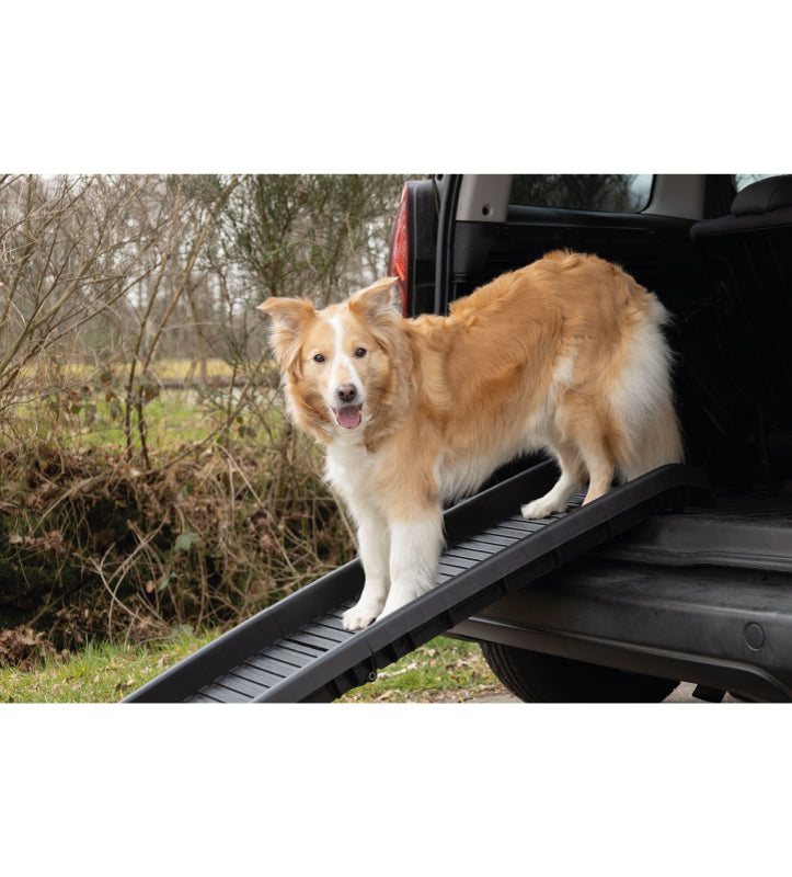 Flamingo - Rampa Pieghevole Antiscivolo