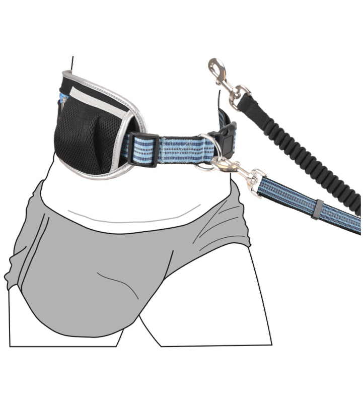 Flamingo - Guinzaglio per jogging - con Cintura