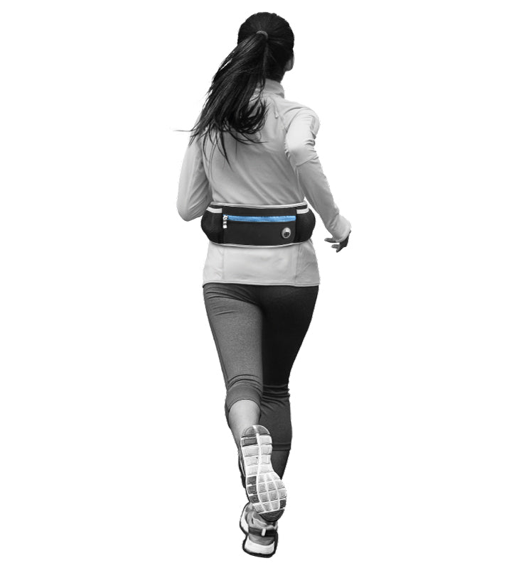 Flamingo - Guinzaglio per jogging - con Cintura