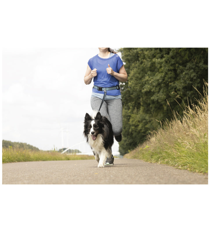 Flamingo - Guinzaglio per jogging - con Cintura