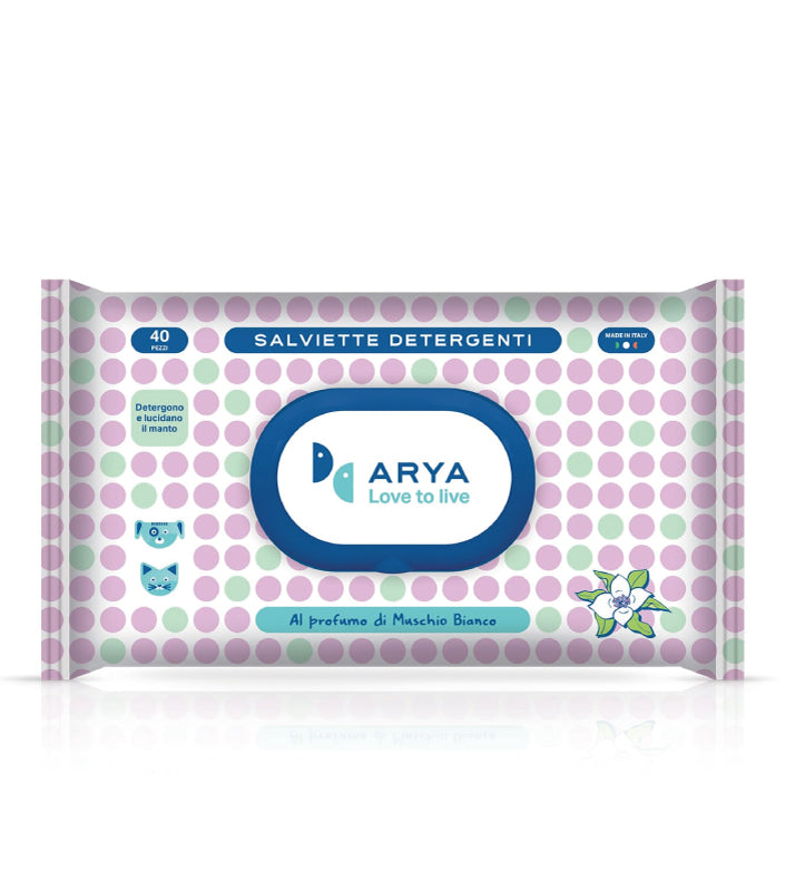 Arya - Salviette Igieniche - da 40 salviette